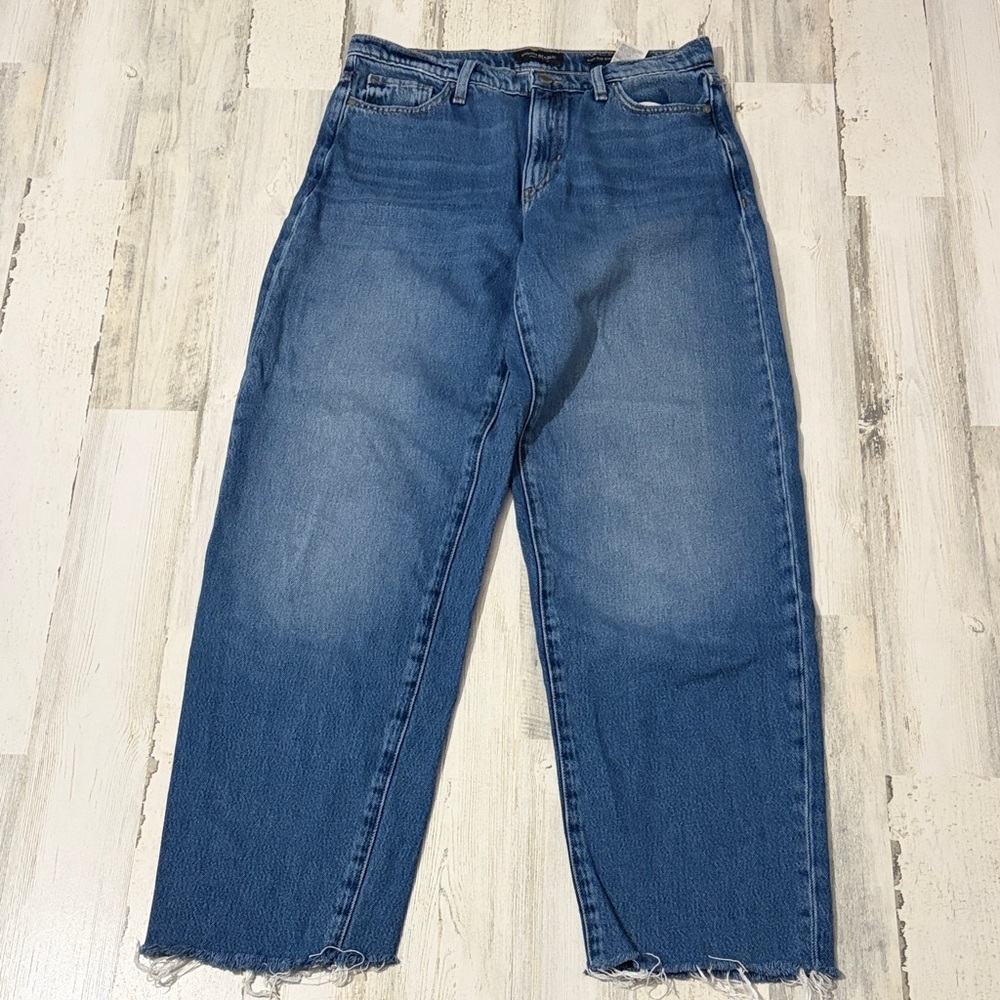 Banana Republic Women's High Rise Barrel Fit Jeans Size 27 - Picture 1 of 10